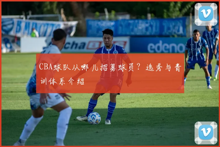 CBA球队从哪儿招募球员？选秀与青训体系介绍