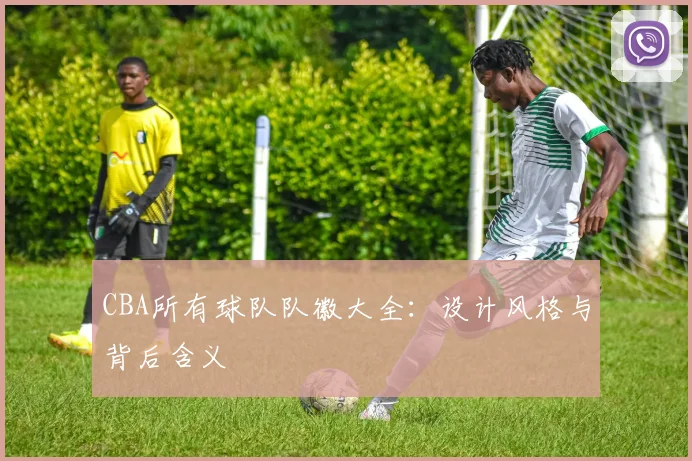 CBA所有球队队徽大全：设计风格与背后含义
