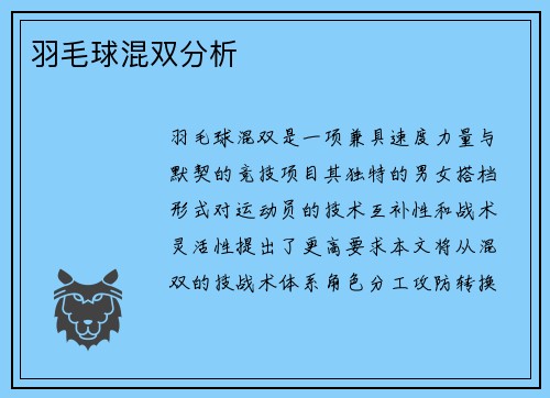 羽毛球混双分析